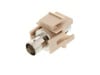 Picture of BNC Feed Through Keystone Jack - Ivory