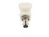 Picture of Fiber Optic Keystone Coupler - ST to ST Multimode Simplex - White