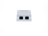 Picture of Surface Mount Box with CAT5e 110 Punch Down Terminals -Dual  RJ45 - 8 Conductor