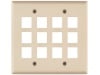 Picture of 12 Port Keystone Faceplate - Dual Gang - Ivory