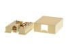 Picture of 4 Conductor RJ11 Ivory Surface Mount Box with Screw Terminals