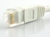 Picture of Cat5e Ethernet Patch Cable, 100 ft, Black