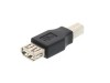 Picture of USB 2.0 Adapter - USB A Female to USB B Male