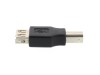 Picture of USB 2.0 Adapter - USB A Female to USB B Male