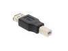 Picture of USB 2.0 Adapter - USB A Female to USB B Male