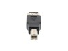 Picture of USB 2.0 Adapter - USB A Female to USB B Male