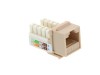 Picture of CAT6 SpeedTerm Keystone Jack 90 Degree 110 UTP - Ivory