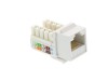 Picture of CAT6 SpeedTerm Keystone Jack 90 Degree 110 UTP - White