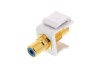 Picture of Feed Through Keystone Jack - RCA (Component / Composite) - White - Color Coded Blue