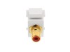 Picture of Feed Through Keystone Jack - RCA (Component / Composite) - White - Color Coded Red