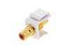 Picture of Feed Through Keystone Jack - RCA (Component / Composite) - White - Color Coded Red