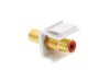 Picture of Feed Through Keystone Jack - RCA (Component / Composite) - White - Color Coded Red