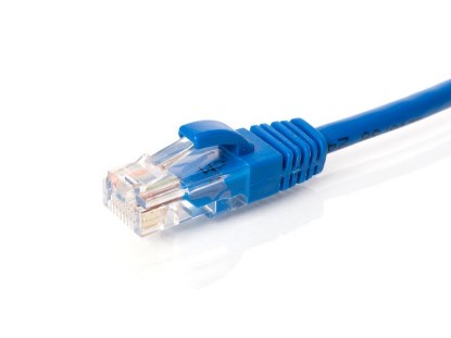 Picture of CAT5e Patch Cable - 2 FT, Blue, Booted