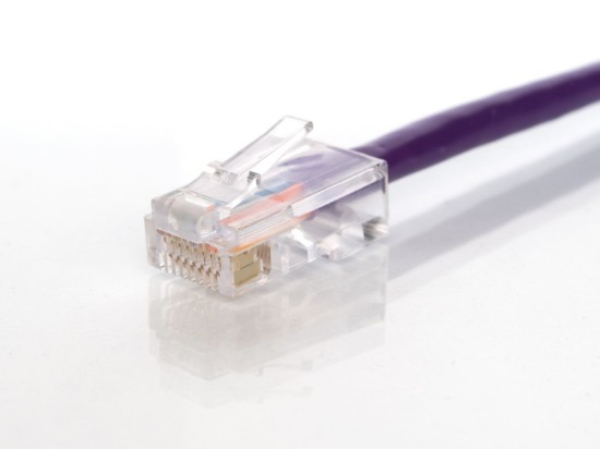 Picture of CAT5e Patch Cable - 1 FT, Purple, Assembled