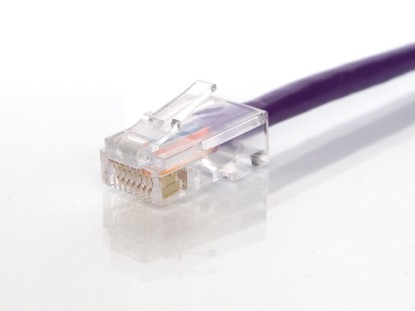 Picture of CAT5e Patch Cable - 3 FT, Purple, Assembled