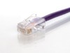 Picture of CAT5e Patch Cable - 10 FT, Purple, Assembled