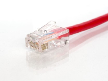 Picture of CAT5e Patch Cable - 2 FT, Red, Assembled