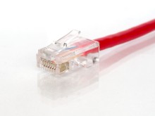 Picture of Cat5e Ethernet Patch Cable, 100 ft, Red