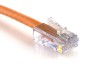 Picture of Cat6 Ethernet Patch Cable, 100 ft, Orange