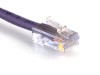 Picture of Cat6 Ethernet Patch Cable, 2 ft, Purple