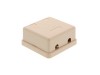 Picture of 2 Port Surface Mount Box - Ivory