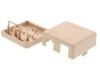 Picture of 2 Port Surface Mount Box - Ivory