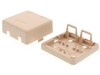 Picture of 2 Port Surface Mount Box - Ivory