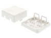 Picture of 2 Port Surface Mount Box - White