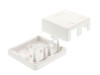 Picture of 2 Port Surface Mount Box - White