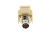 Picture of BNC 75 Ohm Feed Through Keystone Jack - Ivory