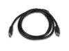 Picture of USB 2.0 C Male to C Male - 3 FT, 480Mbps