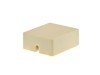 Picture of 4 Conductor RJ11 Ivory Surface Mount Box with Screw Terminals