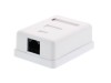 Picture of Surface Mount Box with CAT6 110 Punch Down Terminals - RJ45 - 8 Conductor