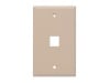 Picture of Single-Gang Keystone Wall Plate, 1-Port, Beige