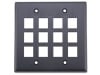 Picture of 12-Port Dual-Gang Keystone Faceplates