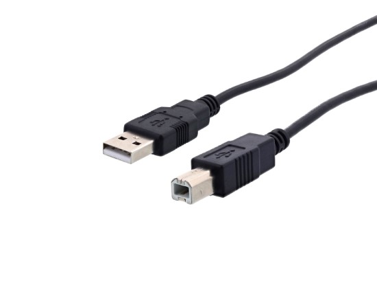 Picture of USB 2.0 Type-A to Type-B Cable (Male/Male) - 1 ft