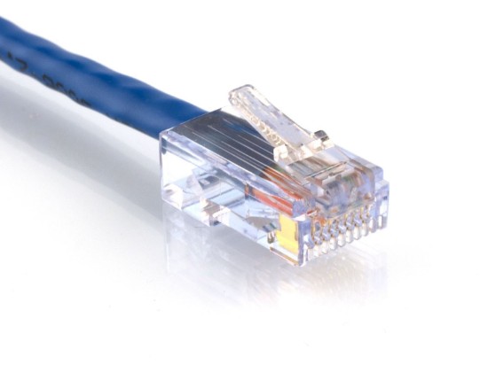 Picture of CAT6 Patch Cable - Blue, Assembled