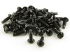 Picture of Rack and Mounting Screws, 50-Packs