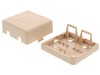 Picture of 2-Port Surface Mount Boxes