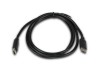 Picture of USB 2.0 USB-C Male to USB-C Male Cables - 480Mbps